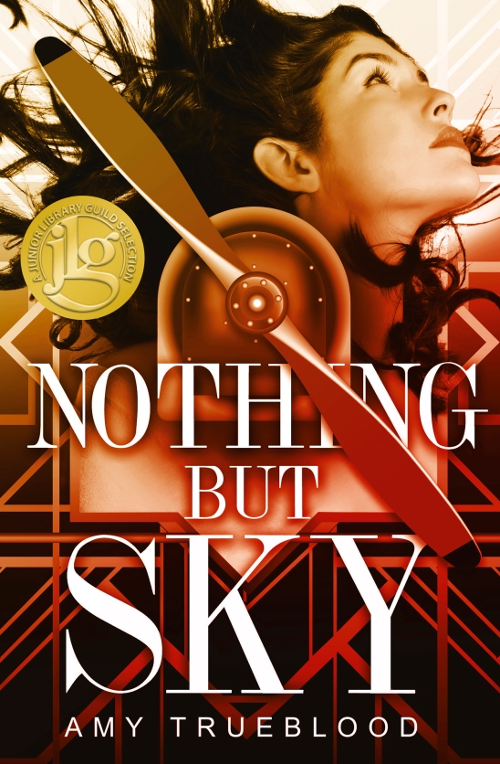 Nothing But Sky by Amy Trueblood